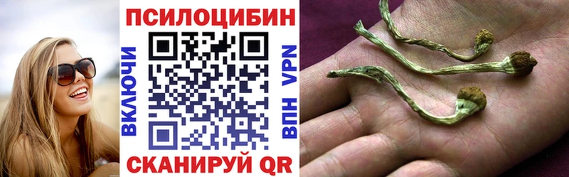 купить   Анива  гидра ссылки  Псилоцибиновые грибы MAGIC MUSHROOMS 